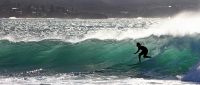 Sandon Point Surfer