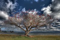 IMG_4269_70_71_tonemapped
